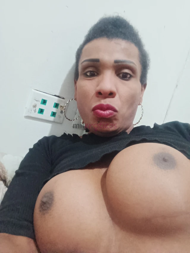 Les ofresco un buen servicio besitos d pololos caricias chupadita beso negro garganta profunda lluvia dorada y blanca fetiches y mas voy tmb a domicil...