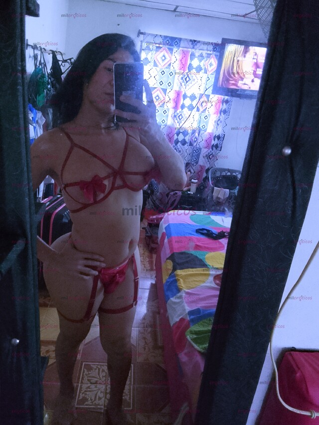 FOTOS DE CHICA TRANS VERSÁTIL CON SENOS GRANDES Y COLA GRANDE ARDIENTE COMPLACIENTE