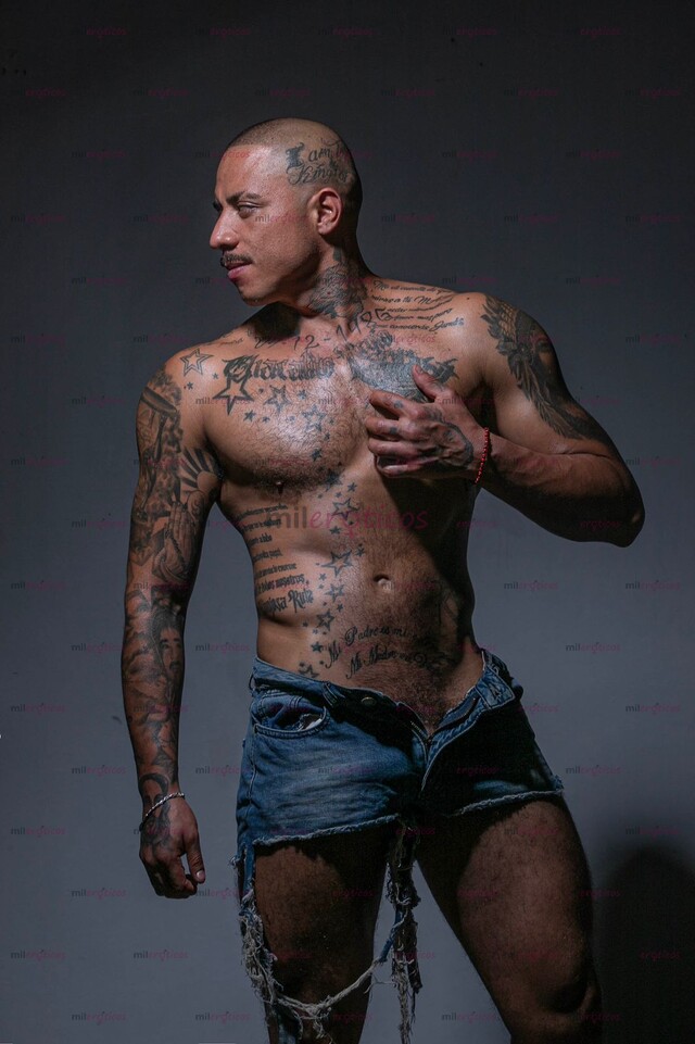 FOTOS DE CHACAL NORTEÑO CON 20 CM DE RIATA PRIETA