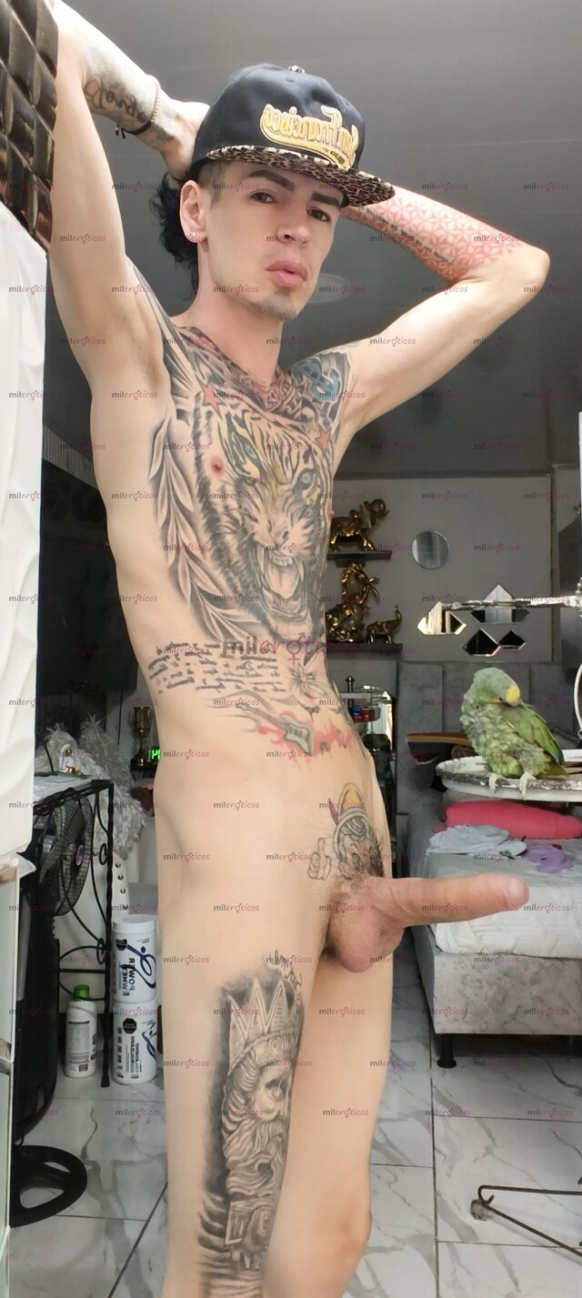 FOTOS DE VERGON FLACO ACTIVO MORBOSO FETICHERO TATUADO