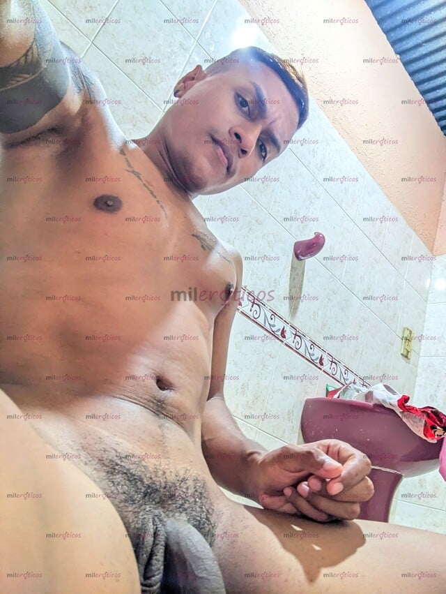 FOTOS DE MAGANGUÉ POLLO JOVEN VERGON LECHERO 20CM REAL GRUESA VENTA DE CONTENIDO AL DM