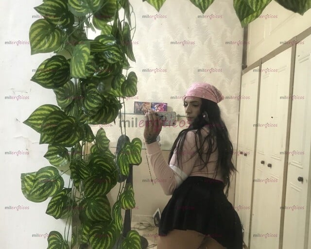 FOTOS DE VERGONA DISPUESTA A COMPLACERTE TRANS VIP FEMENINA SOLO DOMICILIO
