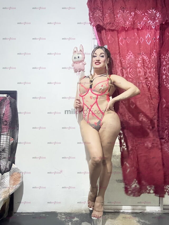 FOTOS DE SI LO QUE BUSCAS ES UNA TRANS FEMENINA,SEXY ,HERMOSA Y EXÓTICA SOY LA INDICADA