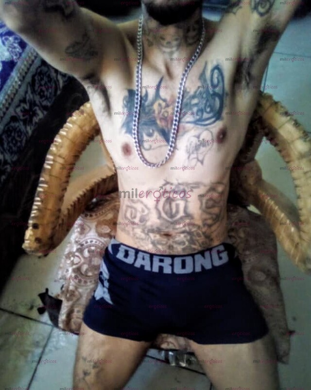 FOTOS DE CHACAL CON BUENA HERRAMIENTA,CHACAL AQUI