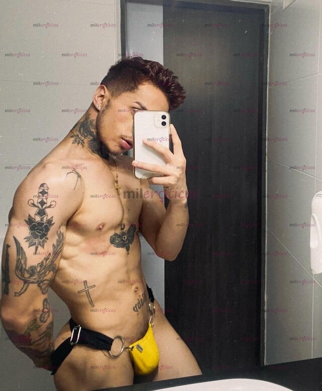 FOTOS DE POLLO DISPONIBLE VERSATIL TATUADO DOTADO EN LA CIUDAD