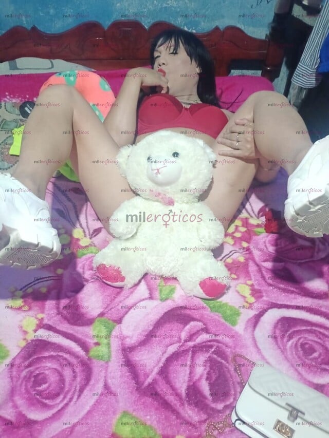 FOTOS DE NUEVA EN TU COMUNIDAD GABRIELA TU CHICA TRANS DISPUESTA A OFRECER SEXO RICO