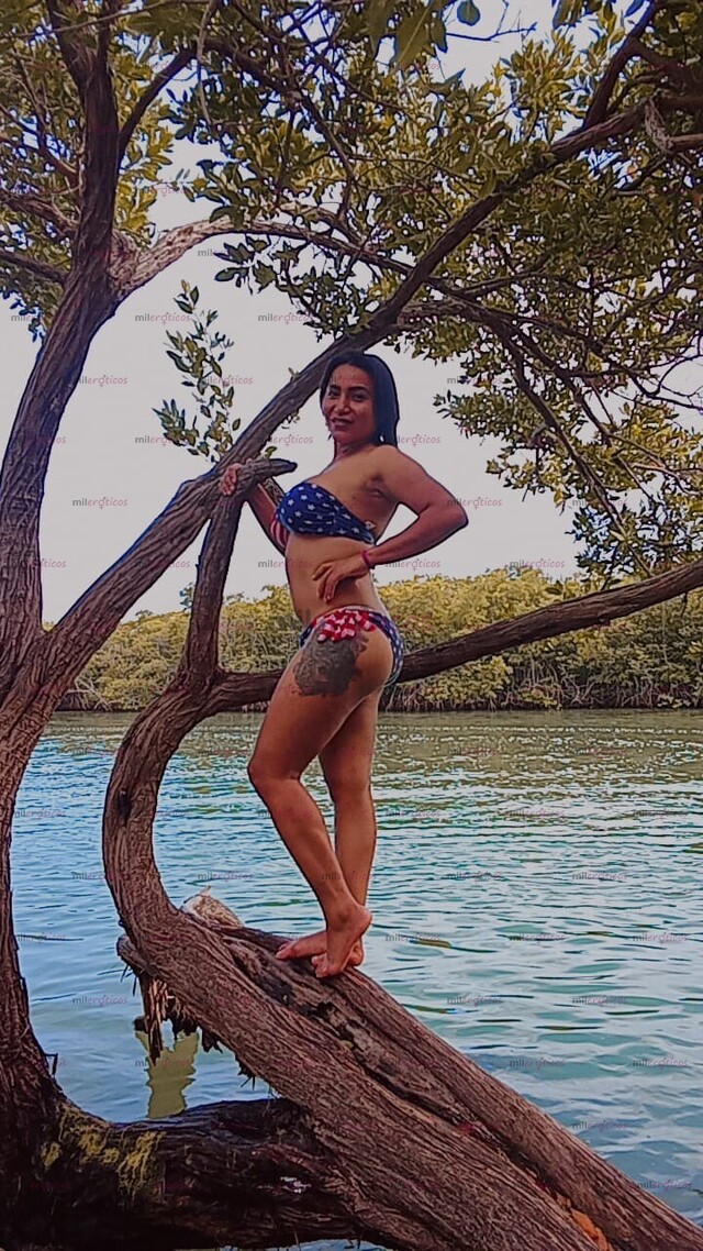 FOTOS DE SOY UNA CHICA TRANS MUY CACHONDA DISPUESTA A CUMPLIR TUS FANTASÍAS