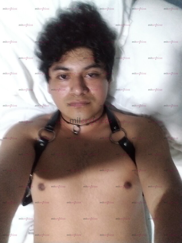 FOTOS DE UNIVERSITARIO CON BUEN CULITO Y VERGA SUMISO INTER