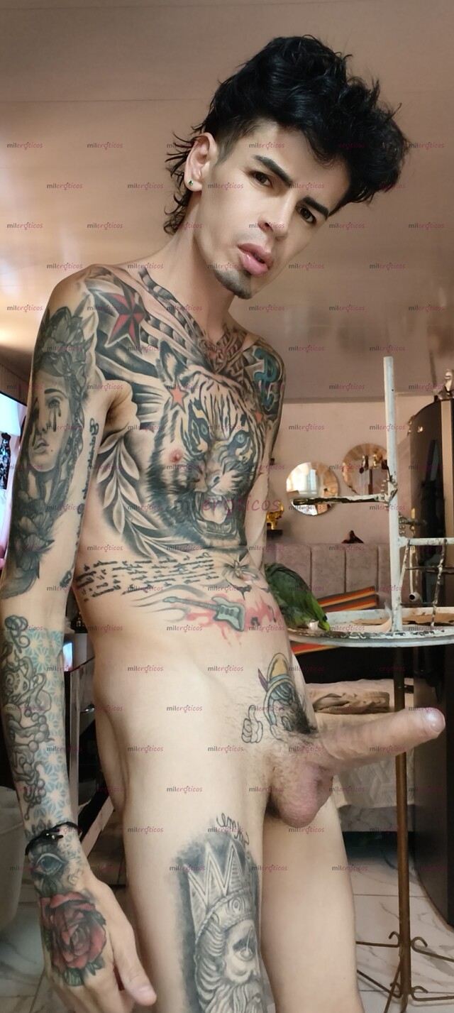 FOTOS DE FLACO VERGON ACTIVO TATUADO ADICTO A LOS PASIVOS