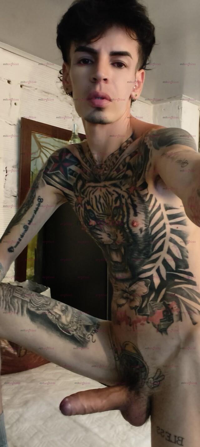 FOTOS DE FLACO VERGON ACTIVO TATUADO ADICTO A LOS PASIVOS