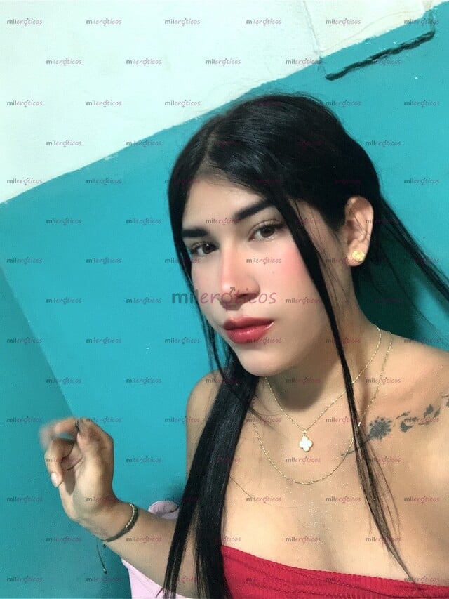 FOTOS DE CHICA TRANS ARDIENTE EM TU PUEBLO VEN Y DISFRUTA UNA EXPERIENCIA NUEVA