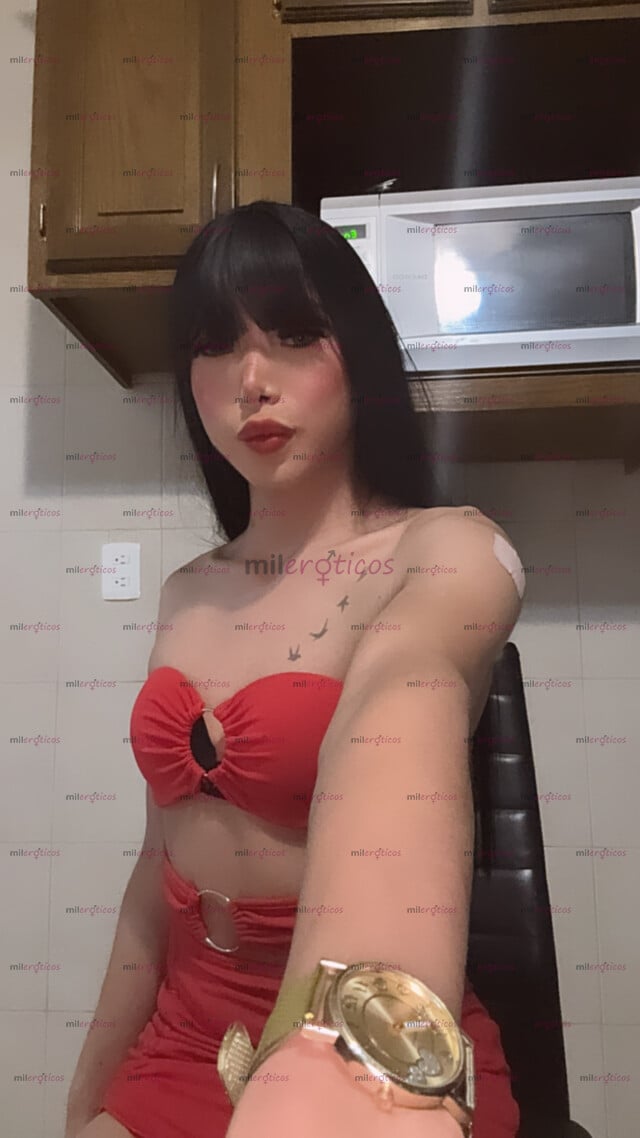 FOTOS DE VERGA LECHERA 21CM Y CULO DELICIOSO NUEVA EN TU CIUDAD FEMENINA VERSÁTIL