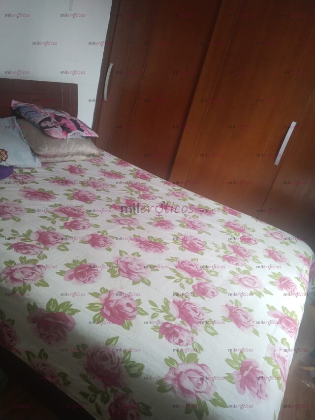 FOTOS DE CHICAS QUE DESEEN TRABAJAR APTO PRIVADO TEMPORADA FIN DE AÑO