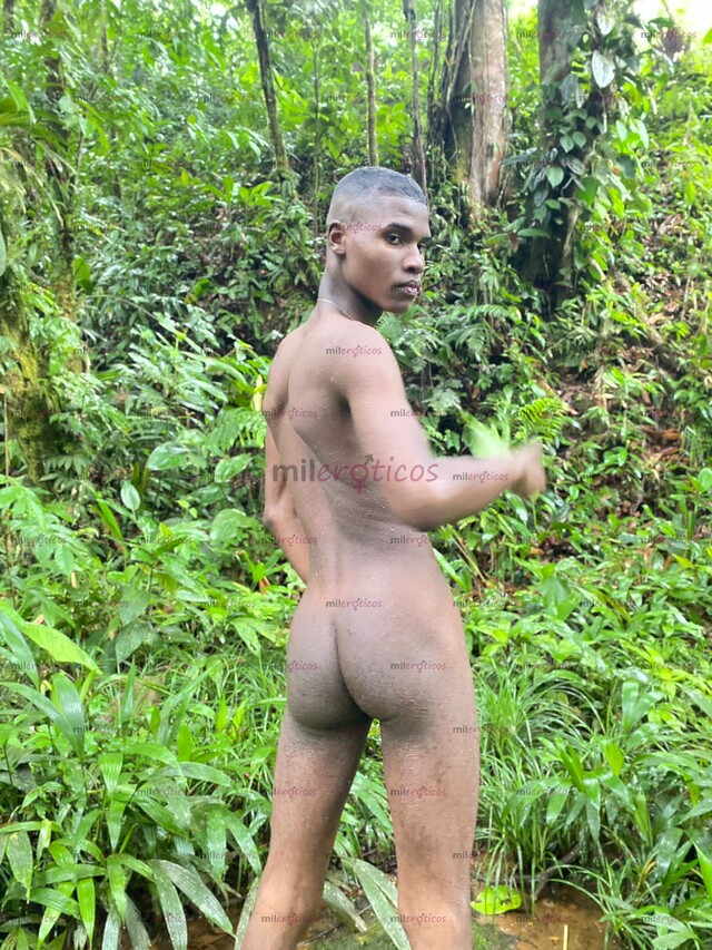 FOTOS DE NEGRO VERSATIL 21CM COMPLACIENTE Y DE MENTE ABIERTA