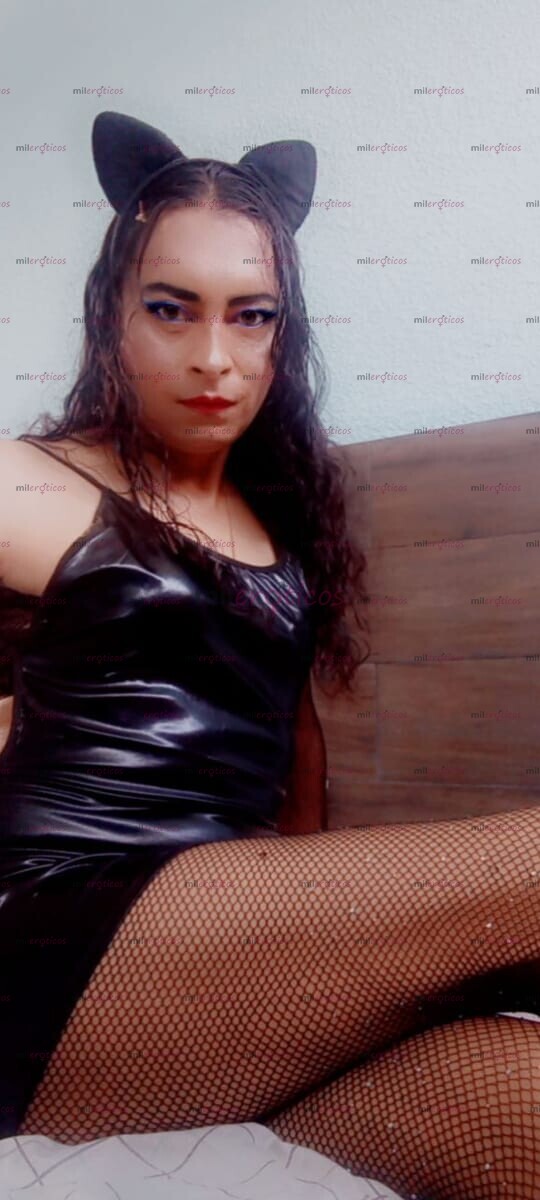 FOTOS DE HOLA DE REGRESO EN MÉRIDA PROMO VIERNES SÁBADO Y DOMINGO LLAMAME