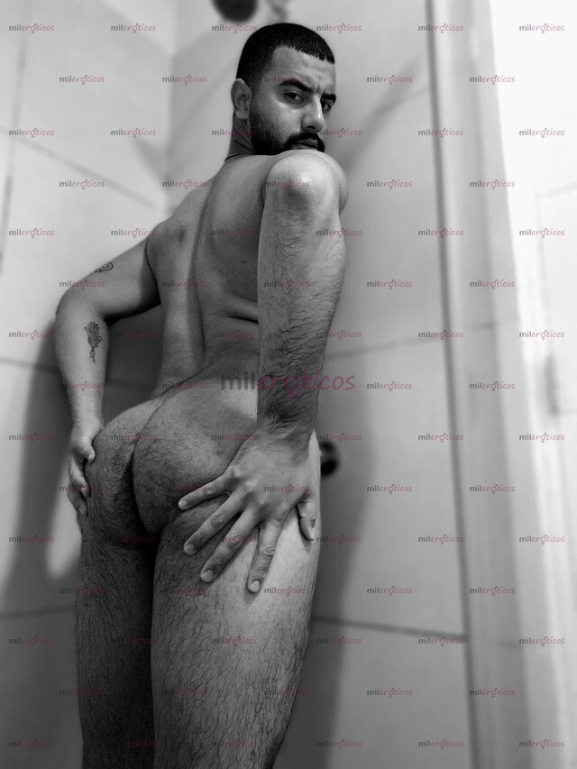 FOTOS DE DESCENDENCIA ARABICA 1.90CM DE ESTATURA MACHO LECHERO