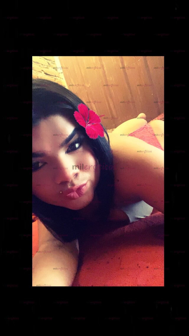 FOTOS DE SOY ALEXA UNA NIÑA TRANS SÚPER CALIENTE CACHONDA PROMOCIÓN SOY COMPLACIENTE
