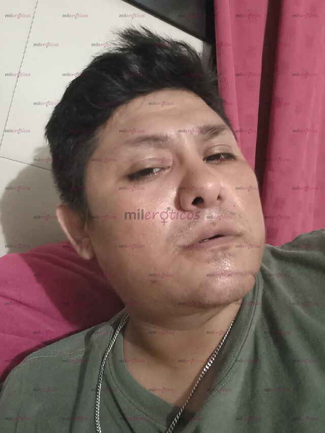 FOTOS DE OSOINTEEACTIVOVERGA 18CM TABASQUEÑO COMPLACIENTE