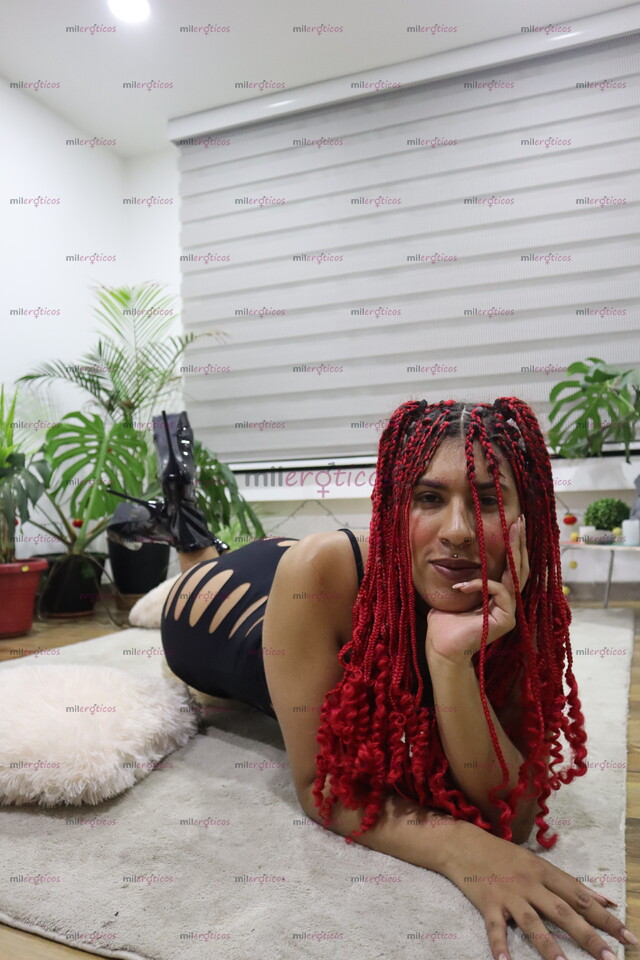 FOTOS DE BÉSAME, TÓCAME, HAZME TUYA. DAMA DE COMPAÑÍA