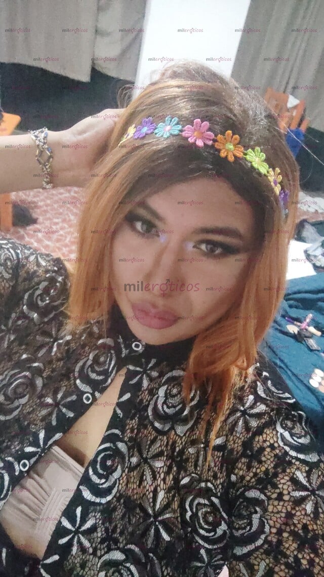FOTOS DE NENA TRANSEXUAL MUY CACHONDA Y DR0GADA PARA QUE ME USES, SI ANDAS EN LA FIESTAÁÍ