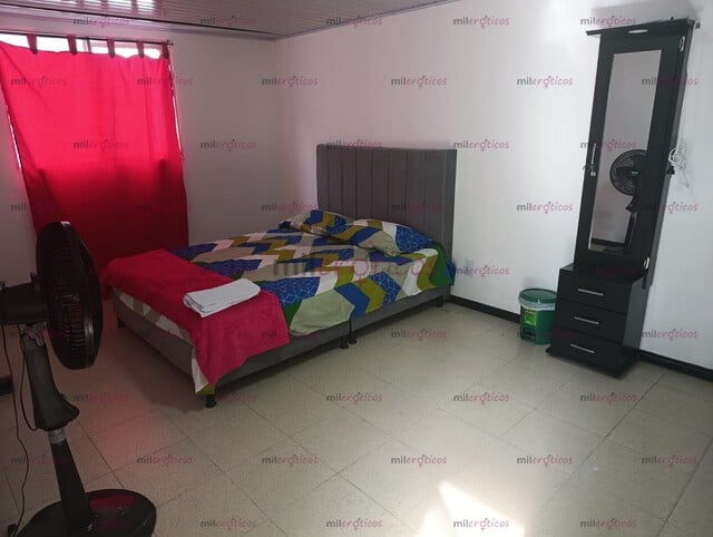 FOTOS DE EN PEREIRA APARTAMENTOS AMOBLADOS PARA CHICAS INDEPENDIENTES ESCORT