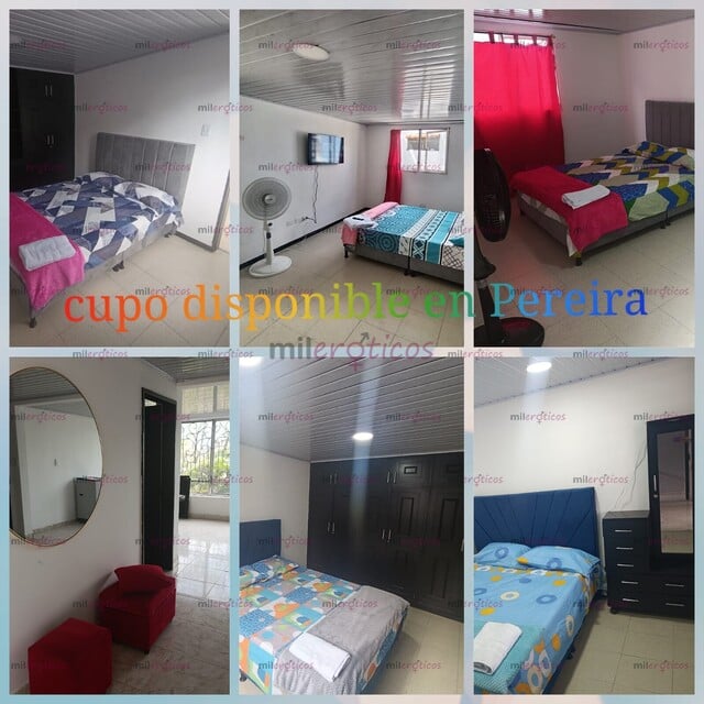 FOTOS DE EN PEREIRA APARTAMENTOS AMOBLADOS PARA CHICAS INDEPENDIENTES ESCORT