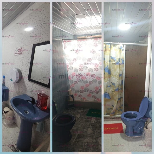 FOTOS DE EN PEREIRA APARTAMENTOS AMOBLADOS PARA CHICAS INDEPENDIENTES ESCORT