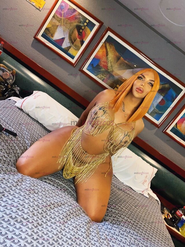 FOTOS DE TU LUJURIA Y EXCITACIÓN LLEGO PAPI DE PASO POR TU CD APROBECHAME