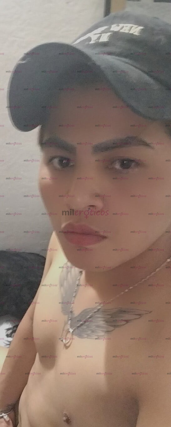 FOTOS DE VERSÁTIL JOVEN ARRECHO LECHERO BUENA VERGA BUENA HIGIENE AMABLE COMPLACIENTE