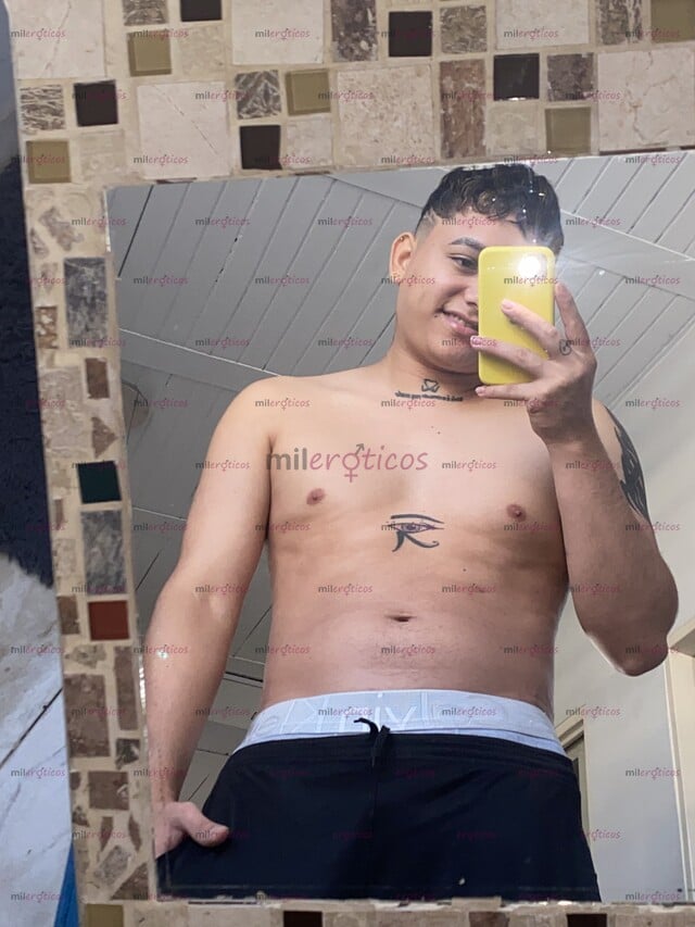 FOTOS DE 20CM REALES, DOMINANTE, ARRECHO, LECHERO Y DISPUESTO 3027367836