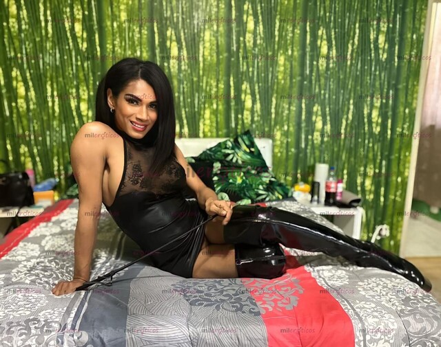 FOTOS DE PAMELA PAMELA PAMELA PAMELA PAMELA EN MANSION CELESTE 3122167617