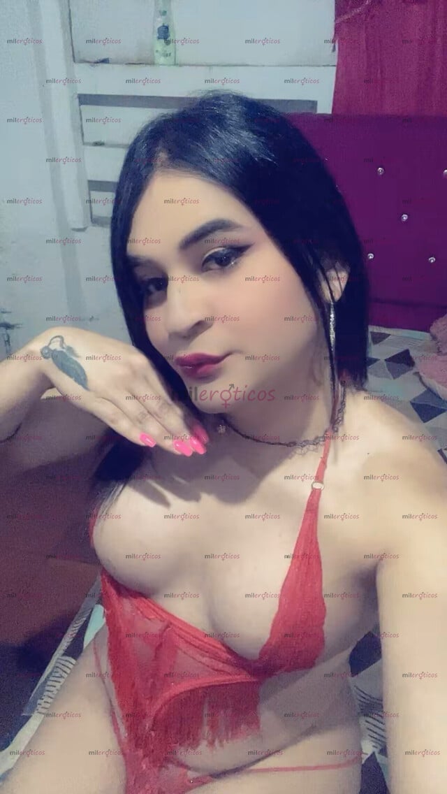 FOTOS DE QUIERES UNA PERRA CULO AGUANTADOR ORAL ENSALIVADO PROFUNDO CON APARTAMENTO