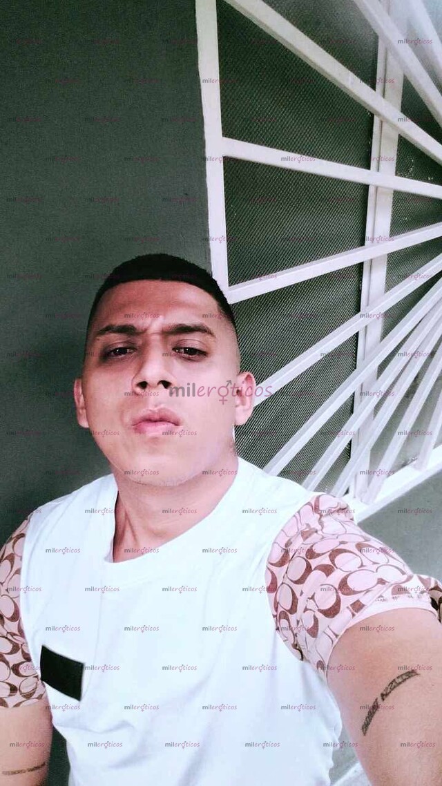 FOTOS DE MORENO LECHERO VARONIL DISPONIBLE EN VILLAVICENCIO