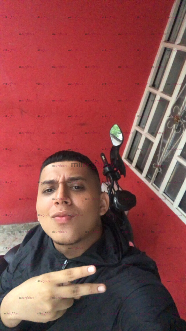 FOTOS DE MORENO LECHERO VARONIL DISPONIBLE EN VILLAVICENCIO