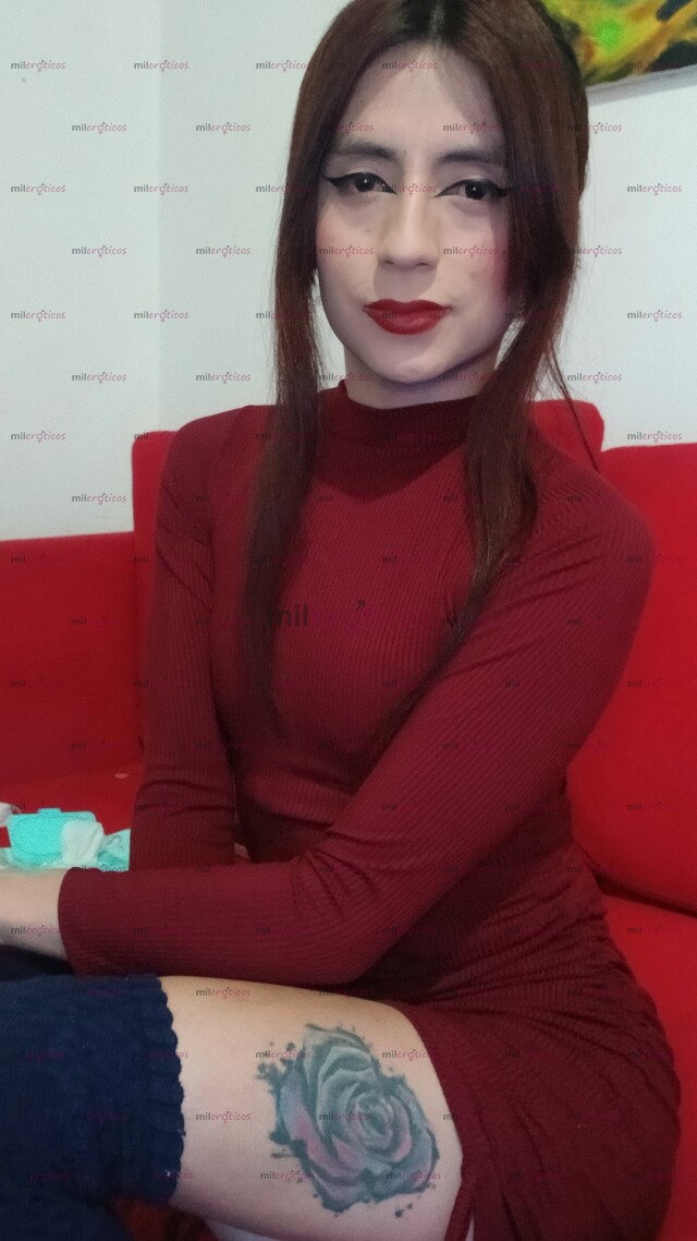FOTOS DE POLLITA ARDIENTE FEMENINA EDUCADA 3506418078 DESCOMPLICADA ORAL AL NATURAL VERSA