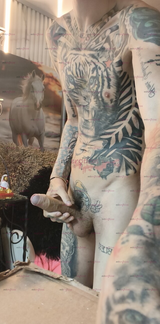 FOTOS DE FLAKO VERGON TATUADO BLANCO MORBOSO AMIGABLE