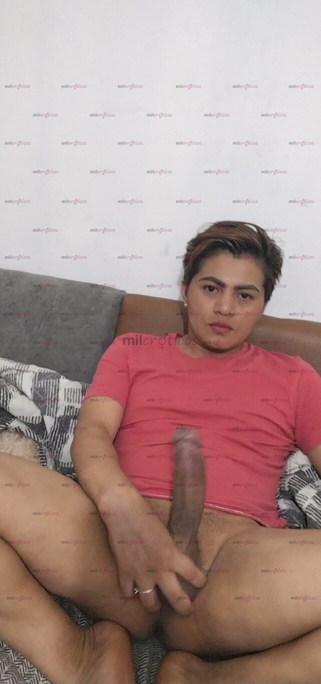 FOTOS DE ACTIVO CARIÑOSO LECHERO JOVEN CON SITIO PRIVADO Y RESERVADO