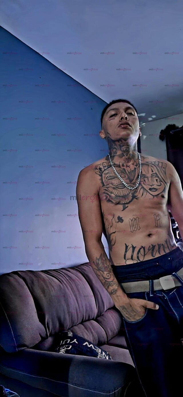 FOTOS DE COMPLACIENTE19CM 8123581315MORRO 19 CM PARA COMPLACERTE, CHACAL TATUADO, MORBO
