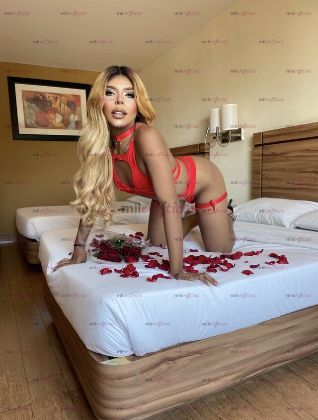 FOTOS DE LA TRANS DE TUS SUEÑOS CON 22 CM CON LUGAR DISCRETO