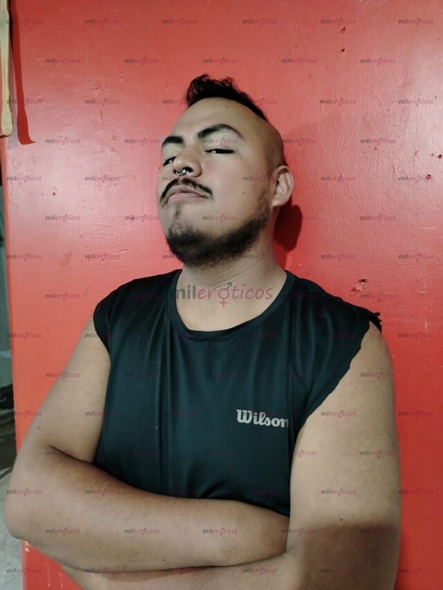 FOTOS DE PANDA CACHORRO COMPLACIENTE PASIVO O ACTIVO ( A TRATAR)