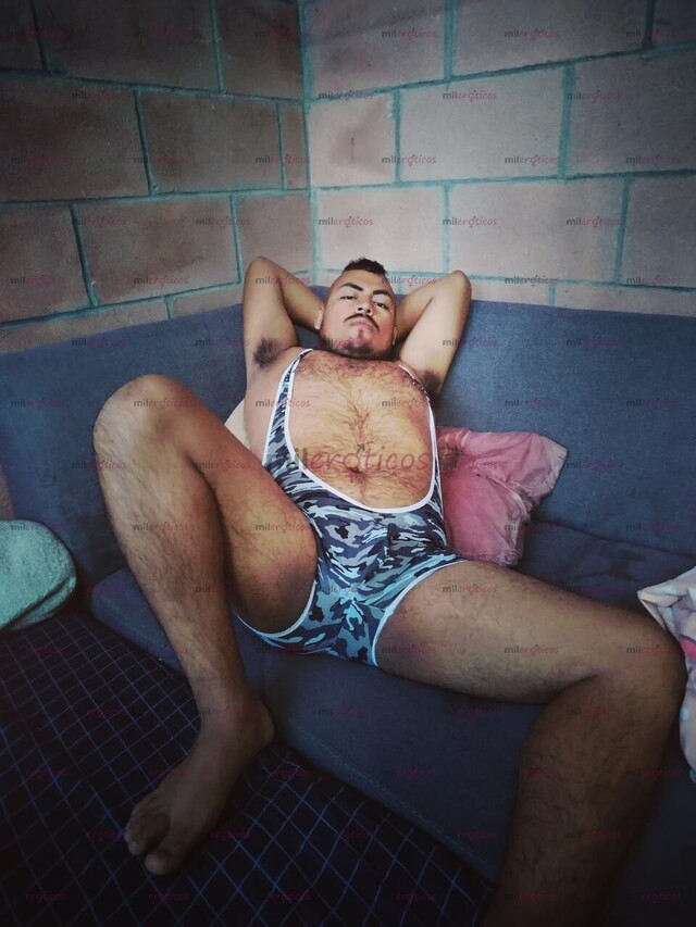 FOTOS DE PANDA CACHORRO COMPLACIENTE PASIVO O ACTIVO ( A TRATAR)