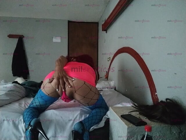 FOTOS DE TRAVESTI CALIENTE EN LENCERÍA BIEN PUTITA FIESTERA