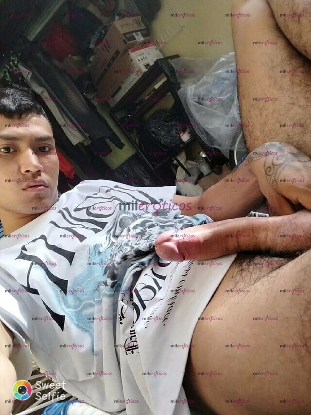 FOTOS DE ACTIVO LECHERO ARRECHO DESCOMPLICADO COMPLACIENTE