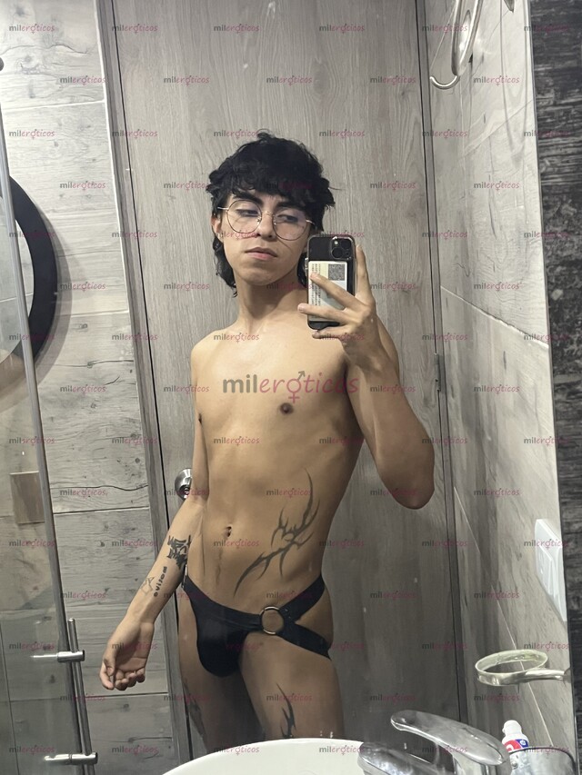 FOTOS DE POLLITO VERSÁTIL Y COMPLACIENTE DISPONIBLE 24 7