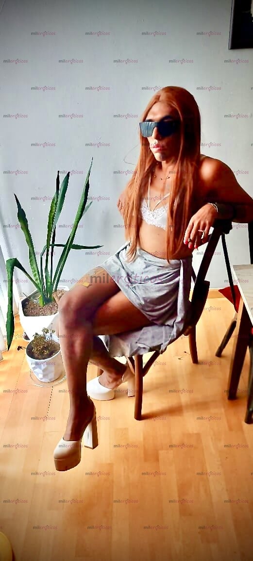 FOTOS DE CHICA TRAVESTI QUE TE HARÁ SENTIRLAS Y GOZAR DE BUENAS EXPERIENCIAS (REBECA)