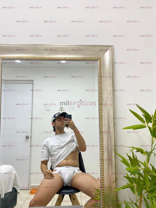 FOTOS DE PASIVO TRAGON ARRECHO Y PUESTO PARA TI ESCRIBE PARA ATENDERTE