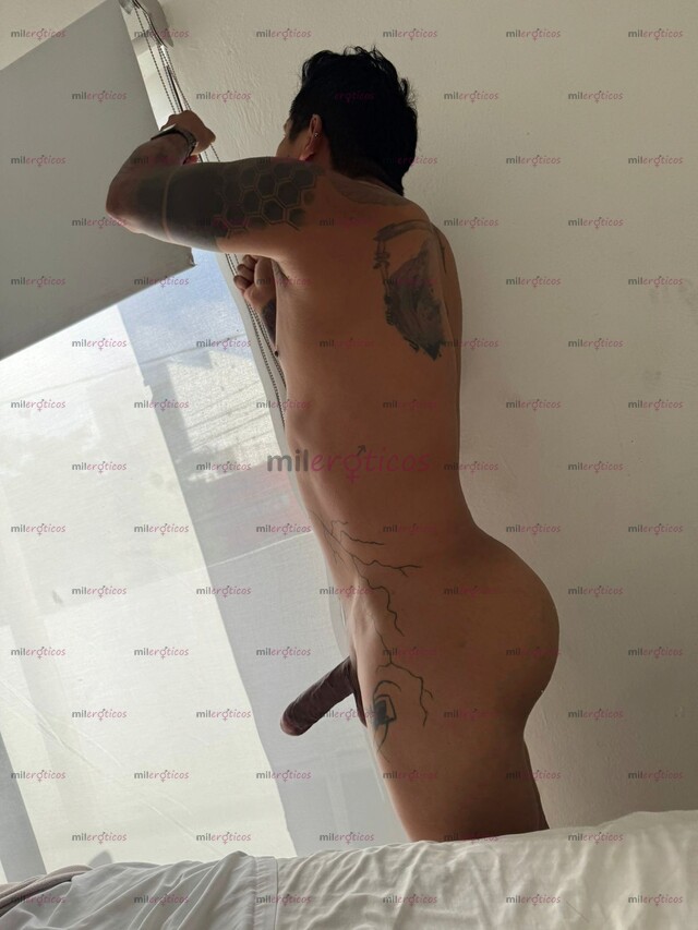 FOTOS DE HOY EN CDMX VERGON NALGON VERGA DUBALIN ACTIVO 19.5CM CON LUGAR