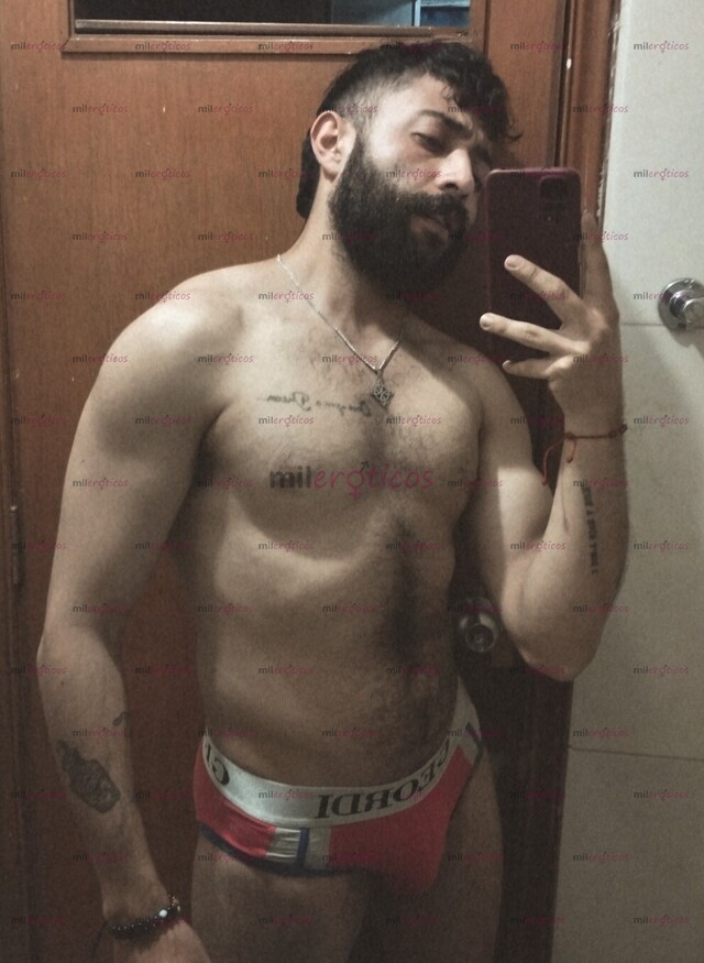 FOTOS DE CERDO SIN CASI LÍMITES VERSÁTIL COMPLACIENTE PELUDO Y BARBADO