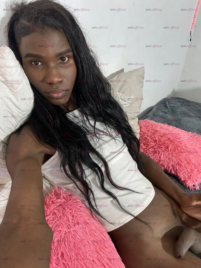 FOTOS DE FEMENINA TRANS, VERGONA NUEVA EN LA CUIDAD DE MEDELLIN Y DE MENTE ABIERTA DISPO