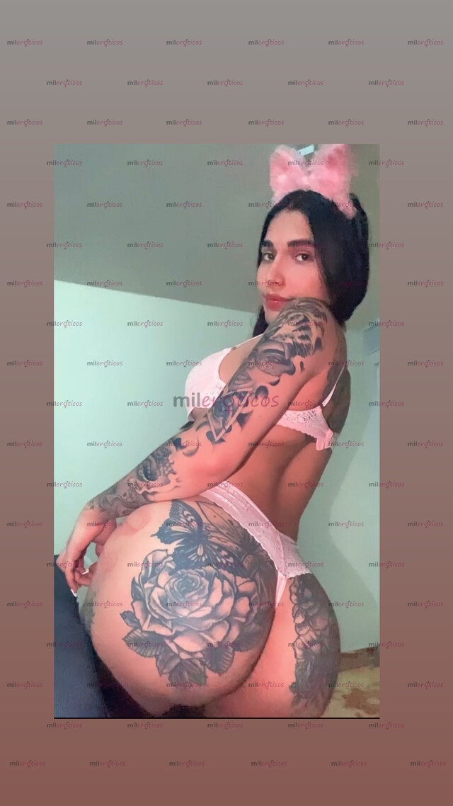 FOTOS DE TU GATITA QUIERE MUCHA DIVERSIÓN DE PEREIRA CALIENTE Y DIVERTIDAD MIAU